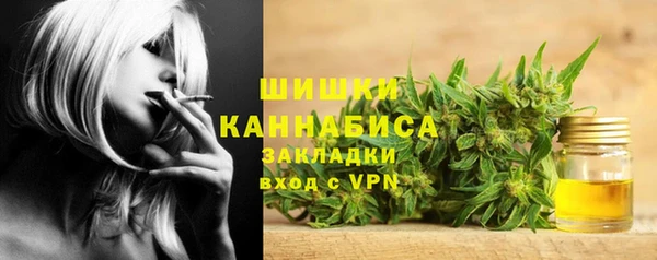 шишки Абаза
