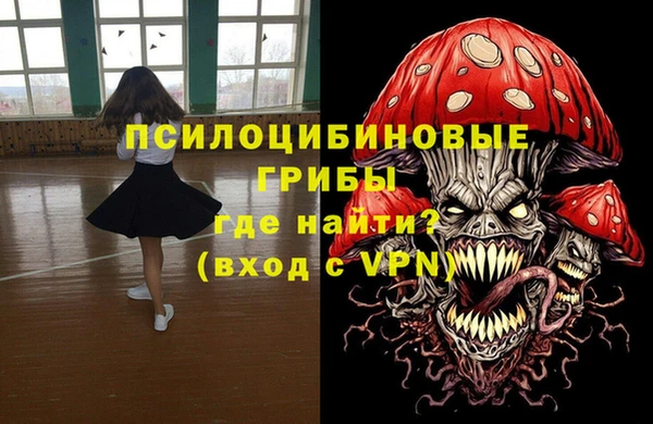 шишки Абаза