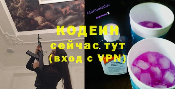шишки Абаза