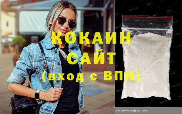 шишки Абаза
