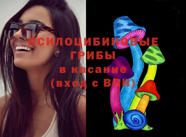 амф Абинск