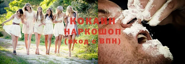 шишки Абаза