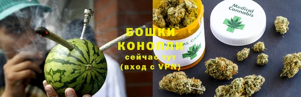 шишки Абаза