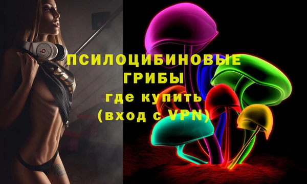 прущие грибы Абдулино