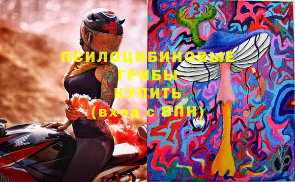 шишки Абаза