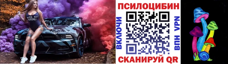 Галлюциногенные грибы GOLDEN TEACHER  купить наркоту  Егорьевск 